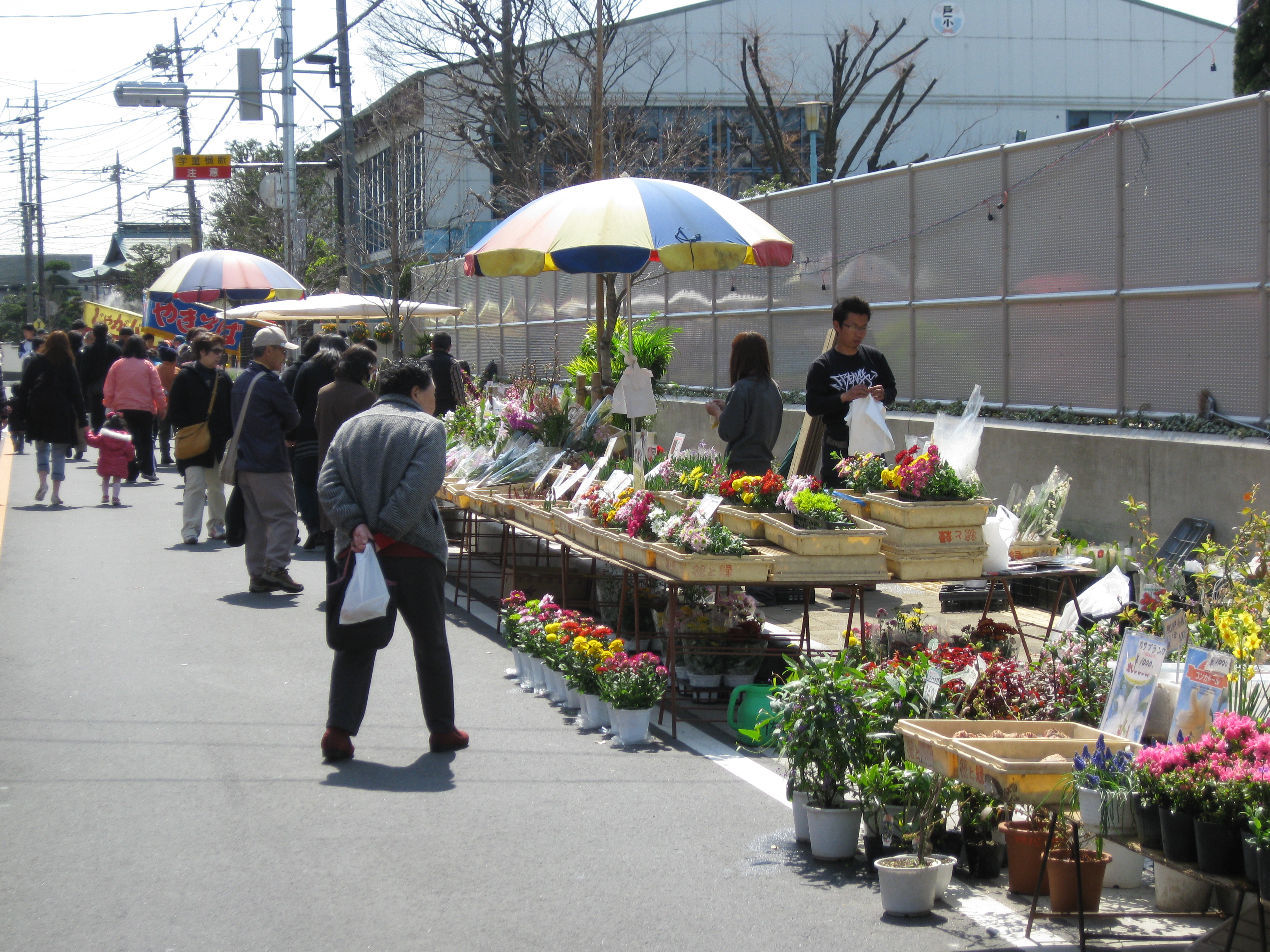 植木市 平成 戸田市 観光協会 市役所 草花 とだオールカード 出店 直売 楽しい 春 香り